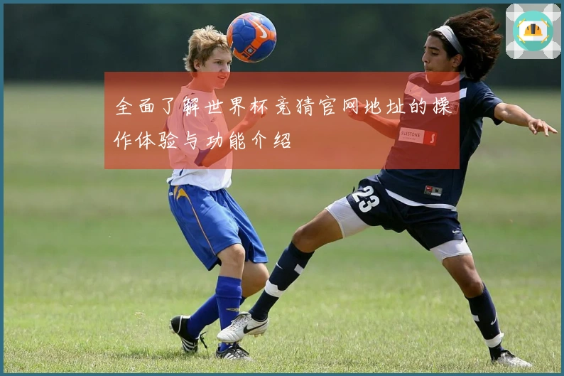 全面了解世界杯竞猜官网地址的操作体验与功能介绍