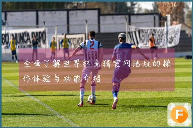 全面了解世界杯竞猜官网地址的操作体验与功能介绍