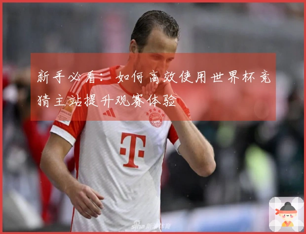 新手必看：如何高效使用世界杯竞猜主站提升观赛体验