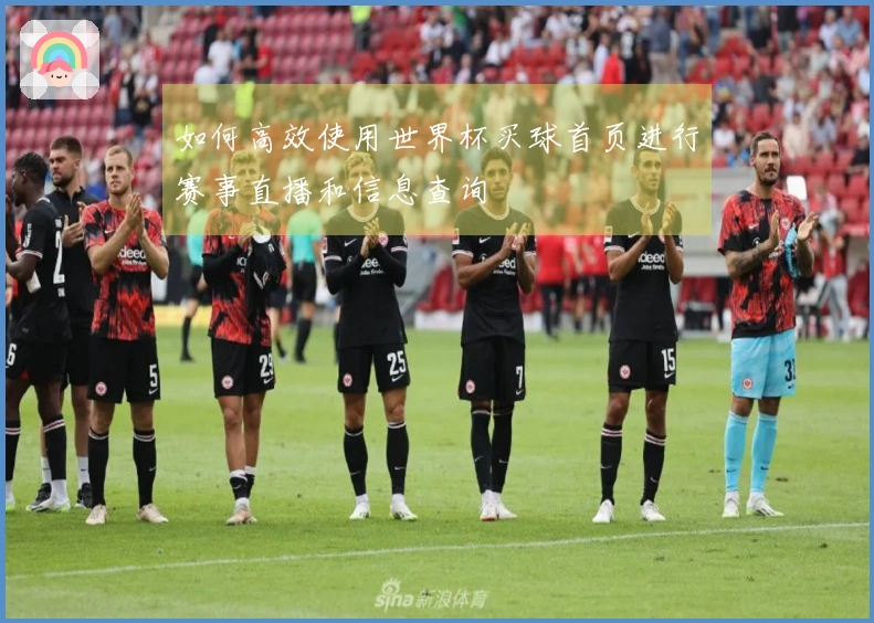 如何高效使用世界杯买球首页进行赛事直播和信息查询