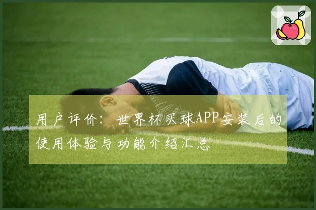 用户评价：世界杯买球APP安装后的使用体验与功能介绍汇总