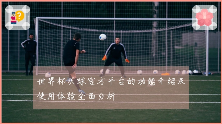 世界杯买球官方平台的功能介绍及使用体验全面分析