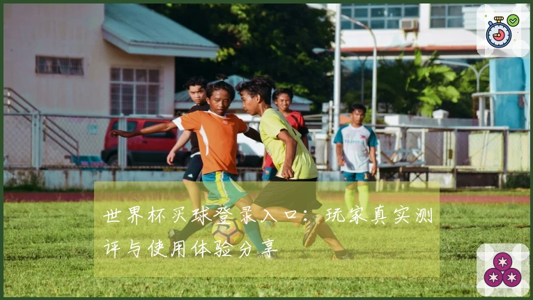 世界杯买球登录入口：玩家真实测评与使用体验分享
