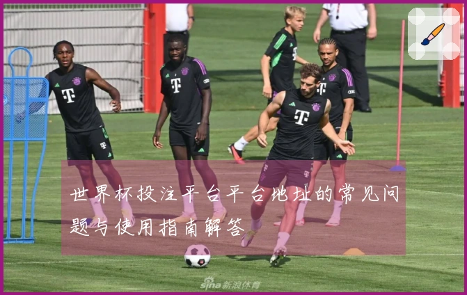 世界杯投注平台平台地址的常见问题与使用指南解答