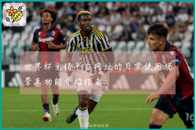 世界杯竞猜平台网址的日常使用场景及功能介绍指南