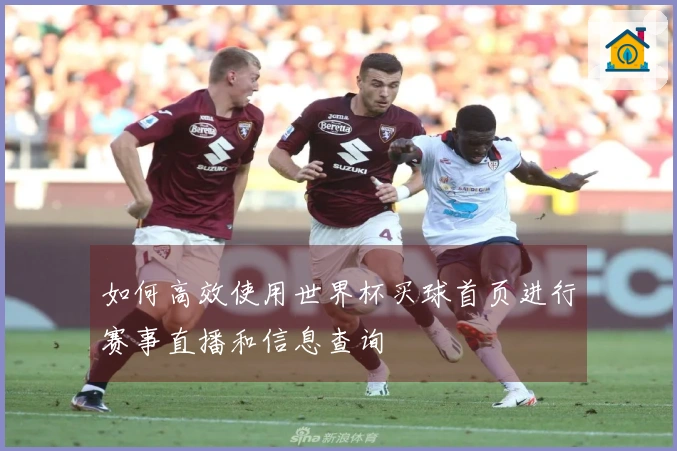 如何高效使用世界杯买球首页进行赛事直播和信息查询