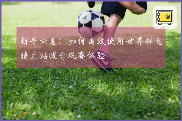 新手必看：如何高效使用世界杯竞猜主站提升观赛体验