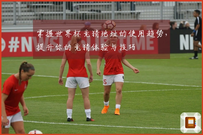 掌握世界杯竞猜地址的使用趋势，提升你的竞猜体验与技巧
