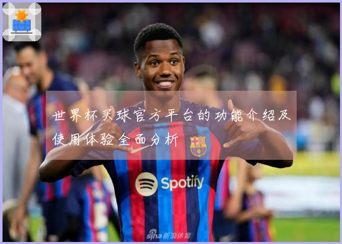 世界杯买球官方平台的功能介绍及使用体验全面分析