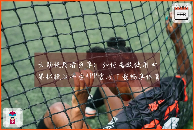 长期使用者分享：如何高效使用世界杯投注平台APP官方下载畅享体育直播体验