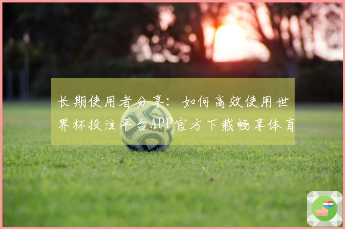 长期使用者分享：如何高效使用世界杯投注平台APP官方下载畅享体育直播体验