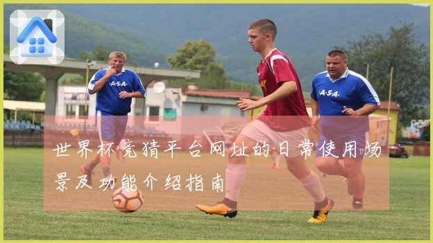 世界杯竞猜平台网址的日常使用场景及功能介绍指南